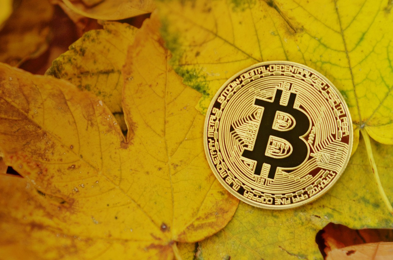 AI概念币ACT、IP 同步暴跌20% 又迅速反弹！诡异的币价走势引热议